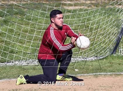 Thumbnail 1 in Glendale Prep Academy vs. Youngker (AIA D4 Quarterfinal) photogallery.