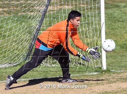 Thumbnail 3 in Glendale Prep Academy vs. Youngker (AIA D4 Quarterfinal) photogallery.