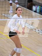 Photo from the gallery "Archbishop Mitty @ Saint Francis (CIF State Regional Open Division Final)"