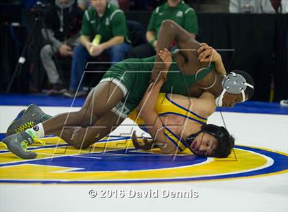 Thumbnail 2 in CIF State Boys Wrestling Championships (Round 2) photogallery.