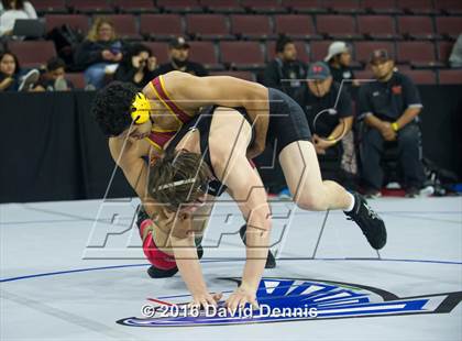 Thumbnail 3 in CIF State Boys Wrestling Championships (Round 2) photogallery.