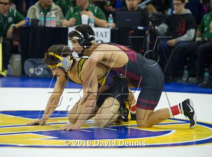 Thumbnail 2 in CIF State Boys Wrestling Championships (Round 2) photogallery.