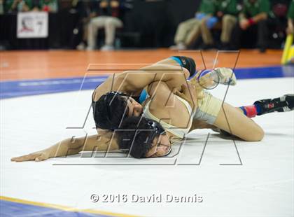 Thumbnail 2 in CIF State Boys Wrestling Championships (Round 2) photogallery.