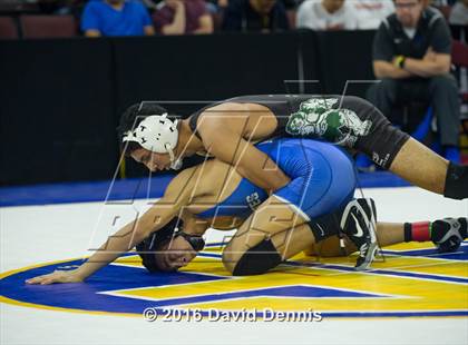 Thumbnail 3 in CIF State Boys Wrestling Championships (Round 2) photogallery.