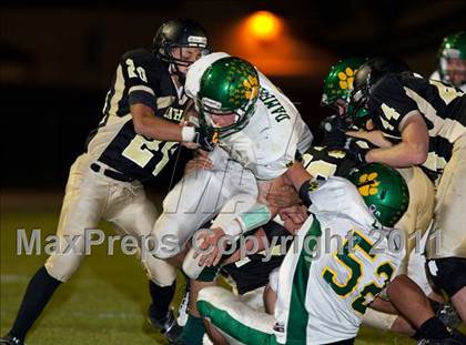Thumbnail 3 in Sonora @ Lathrop photogallery.
