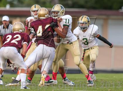 Thumbnail 2 in JV: Nease @ St. Augustine photogallery.