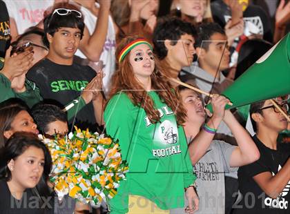 Thumbnail 3 in Forney @ Newman Smith photogallery.
