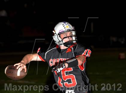 Thumbnail 3 in West Valley @ Corning photogallery.