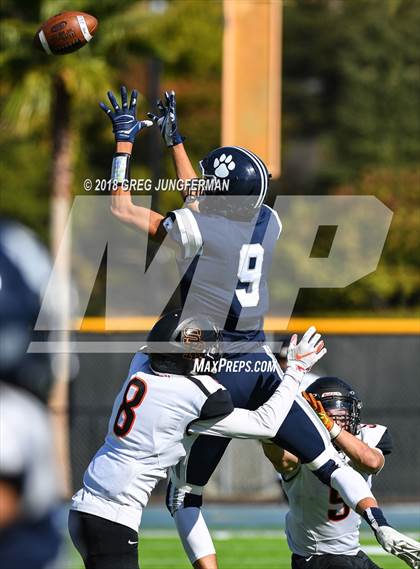 Thumbnail 2 in Santa Rosa @ Marin Catholic (CIF NCS D2 Playoff) photogallery.