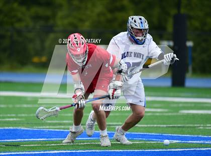 Thumbnail 3 in Greenwich @ Darien photogallery.