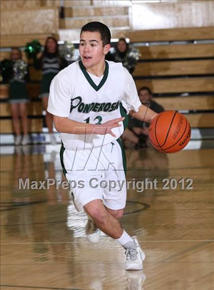 Thumbnail 3 in Sheldon @ Ponderosa photogallery.