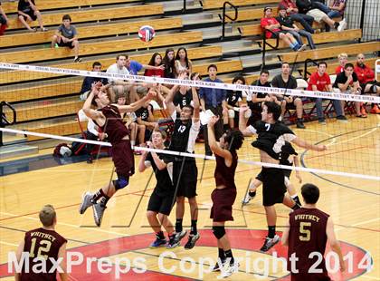 Thumbnail 1 in Whitney vs. Campolindo (CIF NorCal D2 Regional Final) photogallery.