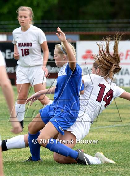 Thumbnail 2 in Peachtree Ridge @ Wando photogallery.