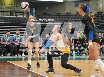 Thumbnail 1 in Orem Vs Park City (UHSAA 4A Finals) photogallery.
