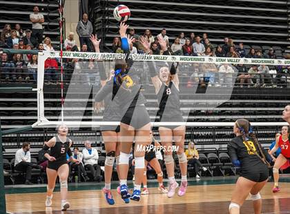Thumbnail 3 in Orem Vs Park City (UHSAA 4A Finals) photogallery.