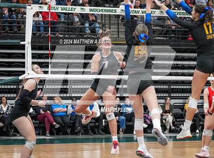 Thumbnail 1 in Orem Vs Park City (UHSAA 4A Finals) photogallery.