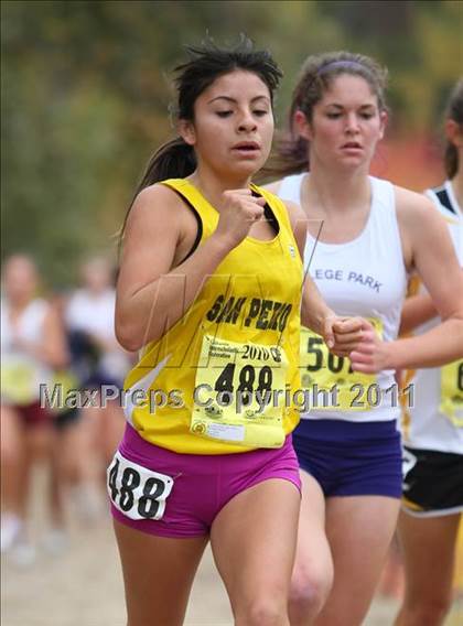 Thumbnail 1 in CIF State Cross Country Championships (D1 Girls) photogallery.