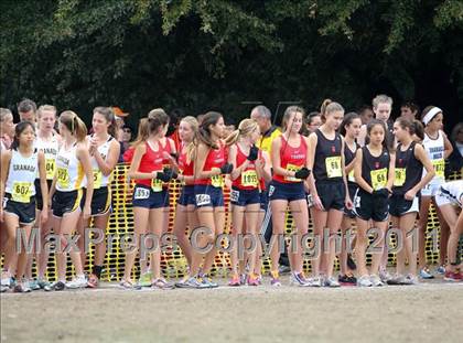 Thumbnail 1 in CIF State Cross Country Championships (D1 Girls) photogallery.