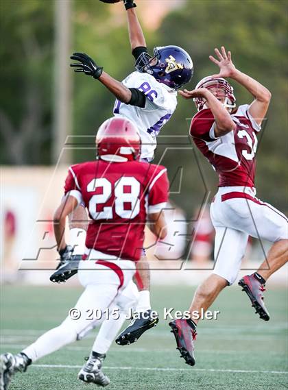 Thumbnail 1 in Vasquez @ Santa Paula photogallery.
