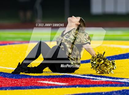 Thumbnail 3 in Civic Memorial @ Roxana photogallery.