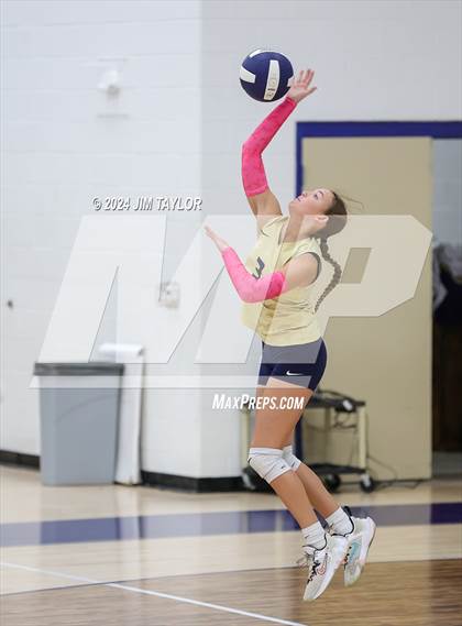 Thumbnail 1 in Strawn @ Perrin-Whitt photogallery.