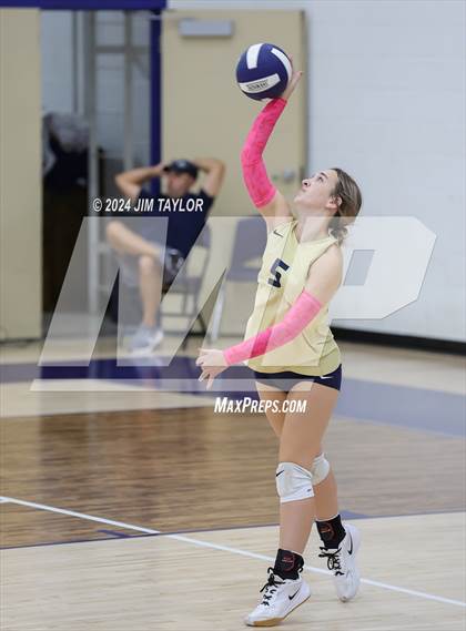 Thumbnail 2 in Strawn @ Perrin-Whitt photogallery.