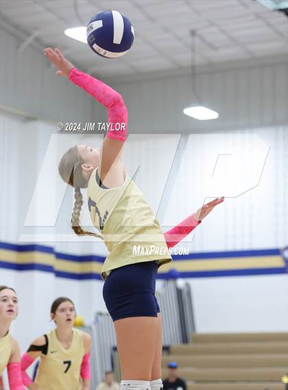 Thumbnail 2 in Strawn @ Perrin-Whitt photogallery.