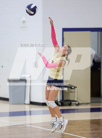 Thumbnail 2 in Strawn @ Perrin-Whitt photogallery.