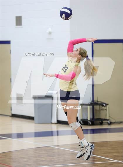 Thumbnail 3 in Strawn @ Perrin-Whitt photogallery.