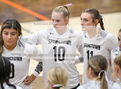 Thumbnail 2 in Decatur @ Springtown photogallery.