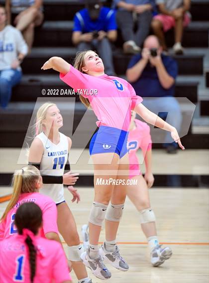 Thumbnail 3 in Decatur @ Springtown photogallery.