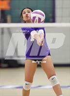 Photo from the gallery "Washington-Liberty @ Chantilly"