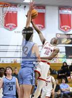 Photo from the gallery "Cactus @ Moon Valley"