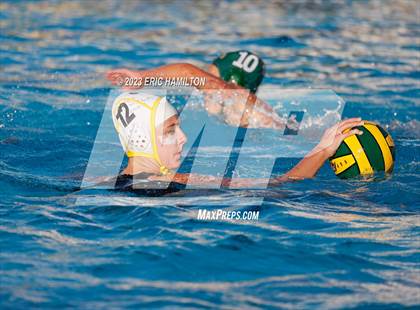 Thumbnail 3 in Peninsula @ Mira Costa photogallery.