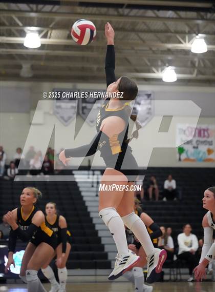 Thumbnail 1 in Gateway College Preparatory vs. Sealy (UIL 4A D2 Volleyball Area Playoff) photogallery.