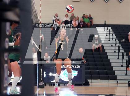 Thumbnail 3 in Gateway College Preparatory vs. Sealy (UIL 4A D2 Volleyball Area Playoff) photogallery.