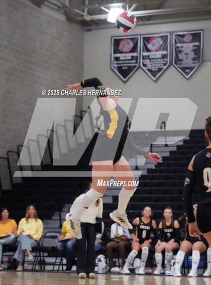 Thumbnail 1 in Gateway College Preparatory vs. Sealy (UIL 4A D2 Volleyball Area Playoff) photogallery.