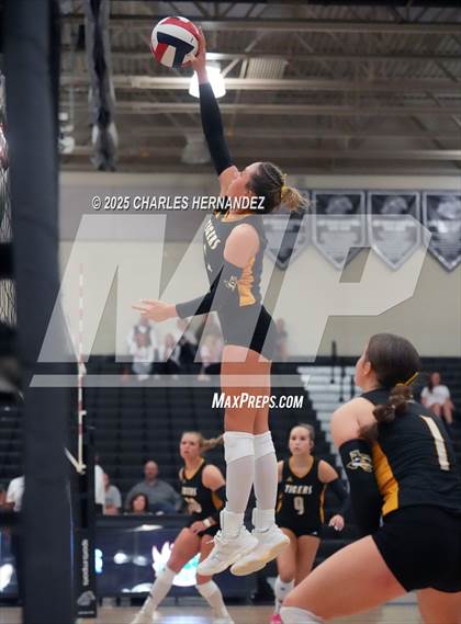 Thumbnail 3 in Gateway College Preparatory vs. Sealy (UIL 4A D2 Volleyball Area Playoff) photogallery.