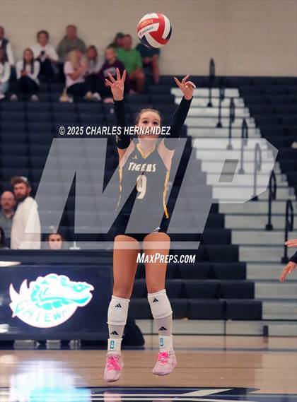 Thumbnail 1 in Gateway College Preparatory vs. Sealy (UIL 4A D2 Volleyball Area Playoff) photogallery.