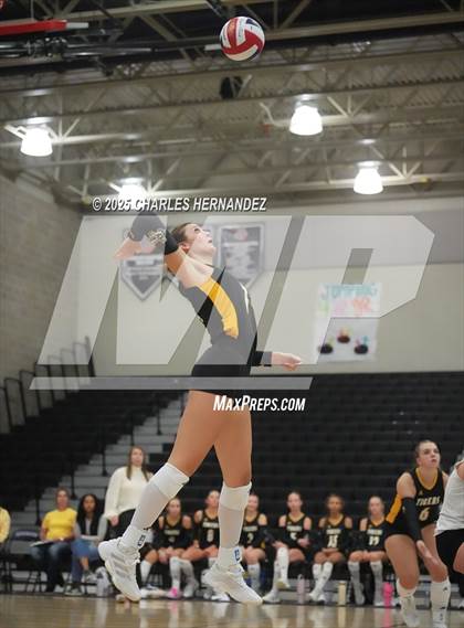 Thumbnail 1 in Gateway College Preparatory vs. Sealy (UIL 4A D2 Volleyball Area Playoff) photogallery.