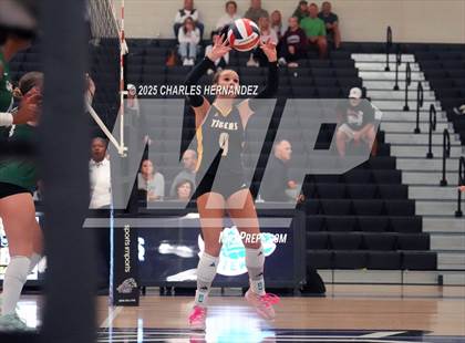 Thumbnail 1 in Gateway College Preparatory vs. Sealy (UIL 4A D2 Volleyball Area Playoff) photogallery.