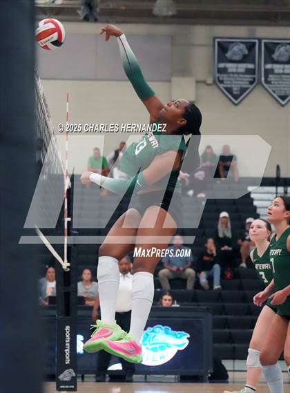 Thumbnail 3 in Gateway College Preparatory vs. Sealy (UIL 4A D2 Volleyball Area Playoff) photogallery.