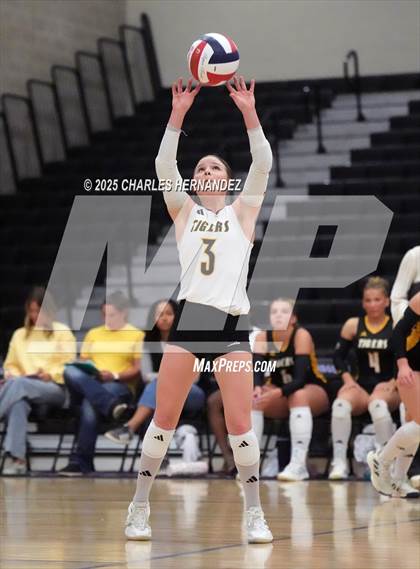 Thumbnail 1 in Gateway College Preparatory vs. Sealy (UIL 4A D2 Volleyball Area Playoff) photogallery.