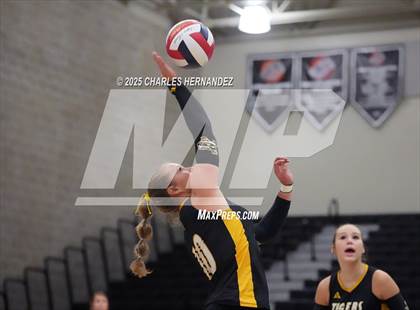 Thumbnail 2 in Gateway College Preparatory vs. Sealy (UIL 4A D2 Volleyball Area Playoff) photogallery.