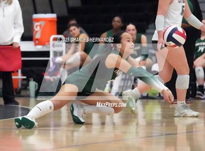 Thumbnail 3 in Gateway College Preparatory vs. Sealy (UIL 4A D2 Volleyball Area Playoff) photogallery.