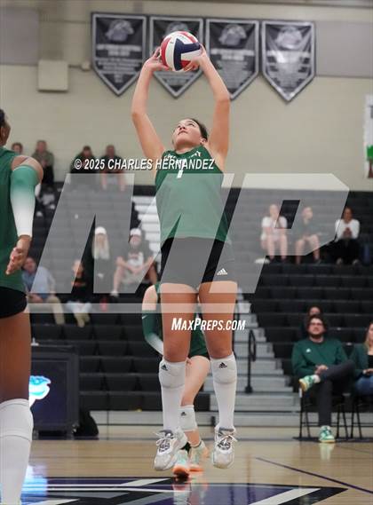 Thumbnail 1 in Gateway College Preparatory vs. Sealy (UIL 4A D2 Volleyball Area Playoff) photogallery.