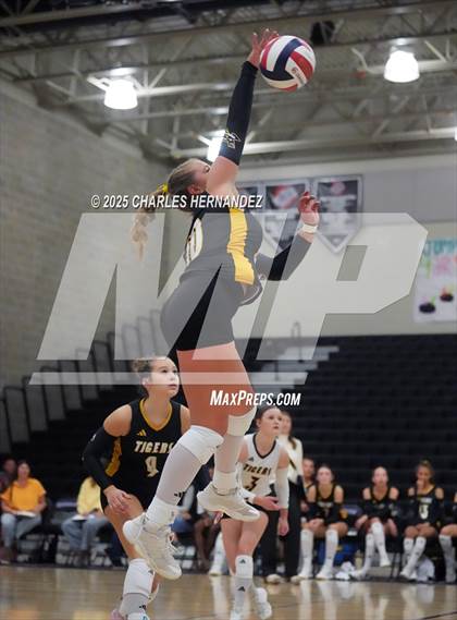 Thumbnail 1 in Gateway College Preparatory vs. Sealy (UIL 4A D2 Volleyball Area Playoff) photogallery.