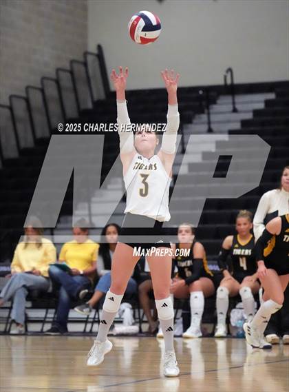 Thumbnail 2 in Gateway College Preparatory vs. Sealy (UIL 4A D2 Volleyball Area Playoff) photogallery.