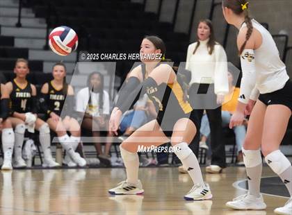 Thumbnail 2 in Gateway College Preparatory vs. Sealy (UIL 4A D2 Volleyball Area Playoff) photogallery.