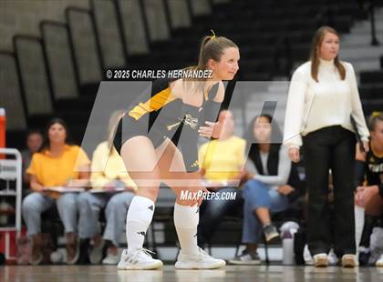 Thumbnail 1 in Gateway College Preparatory vs. Sealy (UIL 4A D2 Volleyball Area Playoff) photogallery.